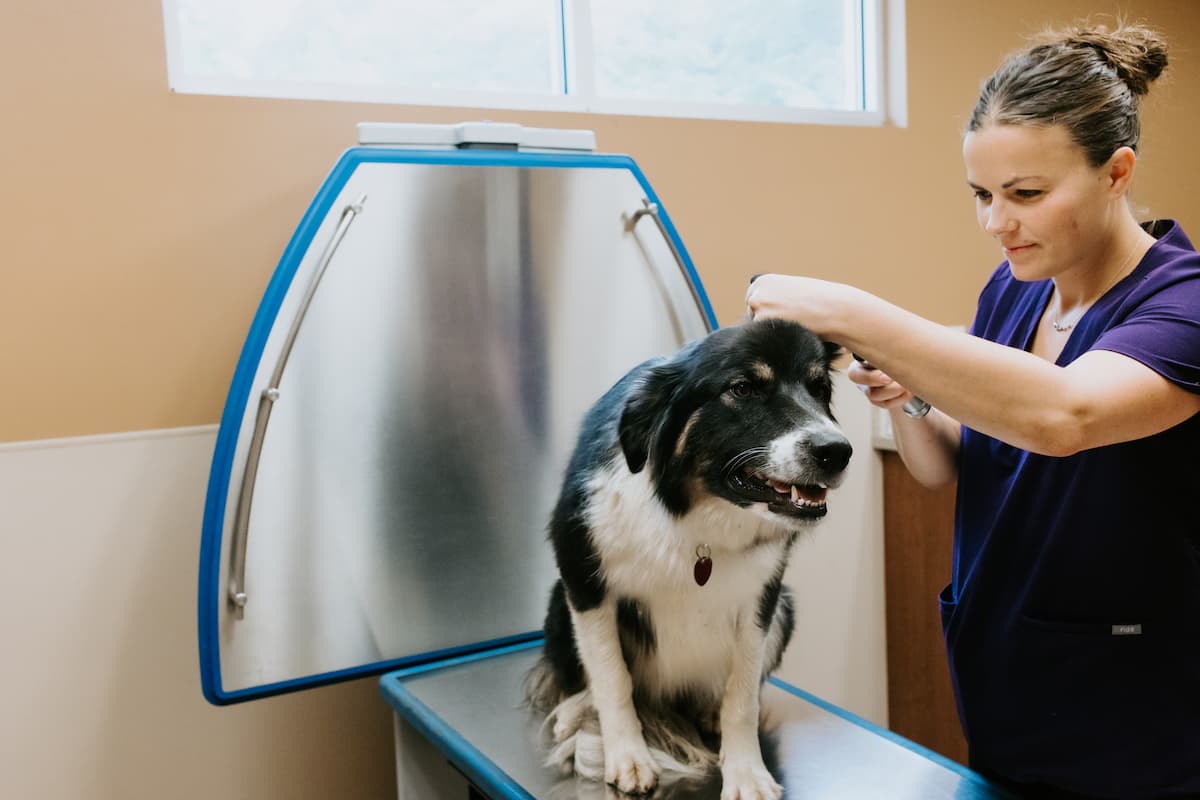 Richland store veterinary clinic